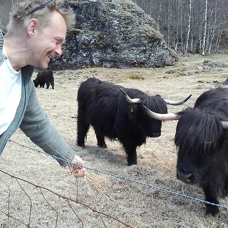 Vassbakken Og Semesterpark Skjolden