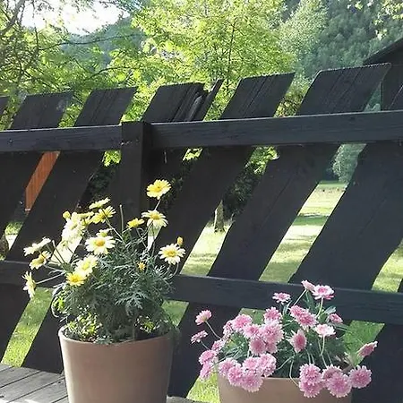 Vassbakken Og Skjolden